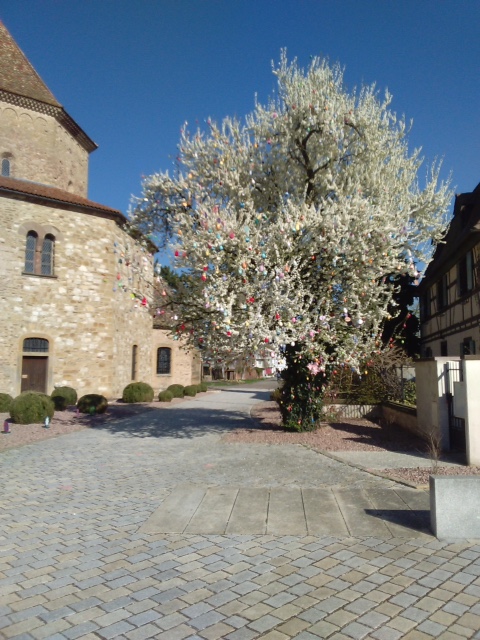 Arbre à oeufs