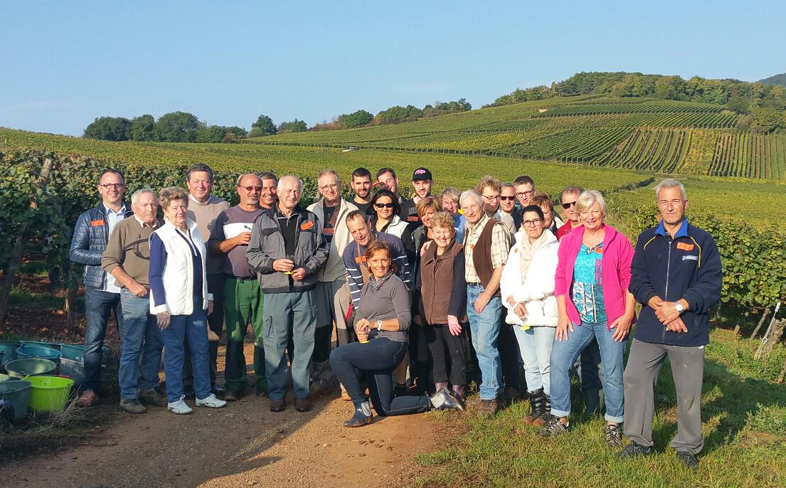 Vendanges solidaires au domaine Siegler