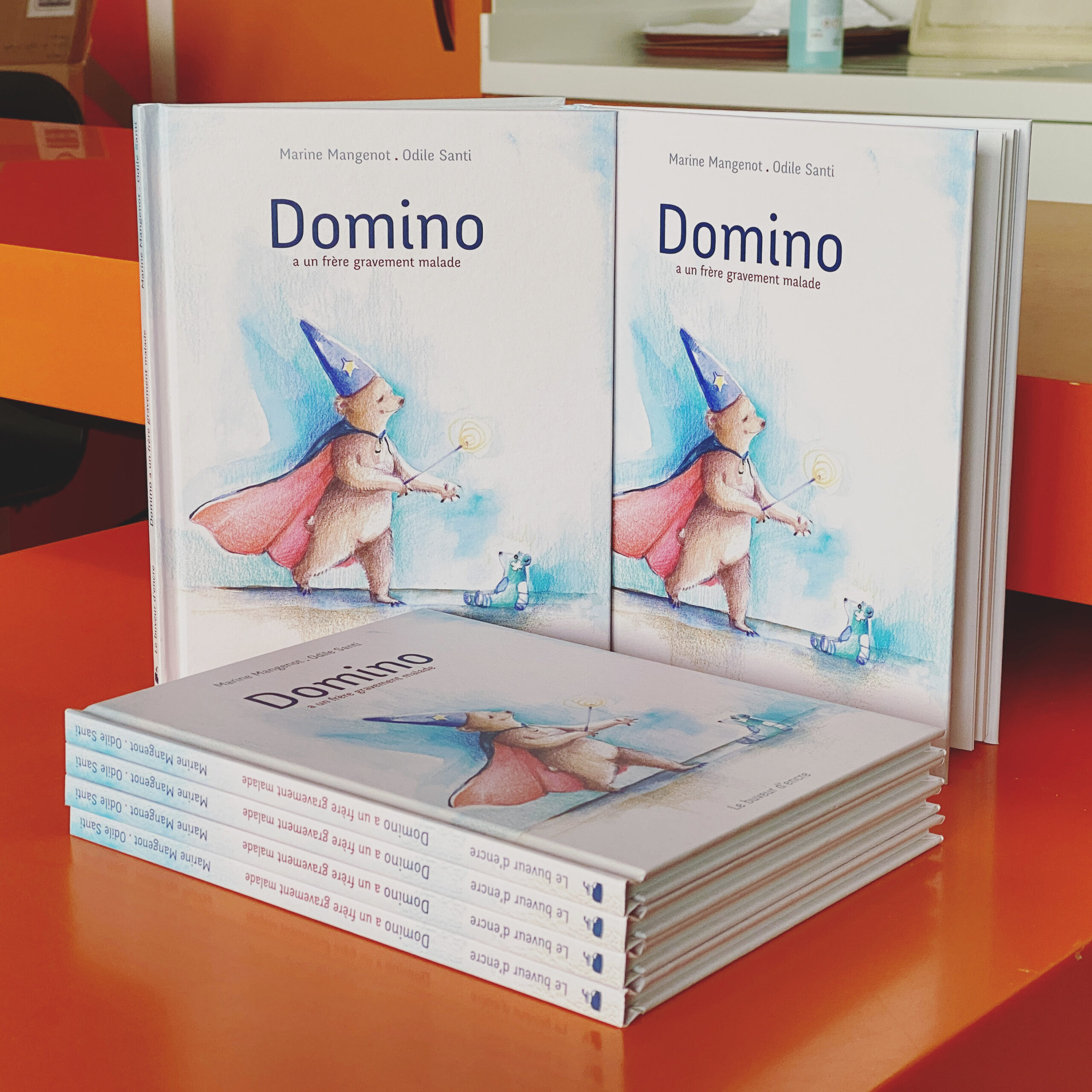 Exemplaires du livre « Domino a un frère gravement malade » achetés par l'association pour aider les familles à appréhender la maladie de leurs proches.